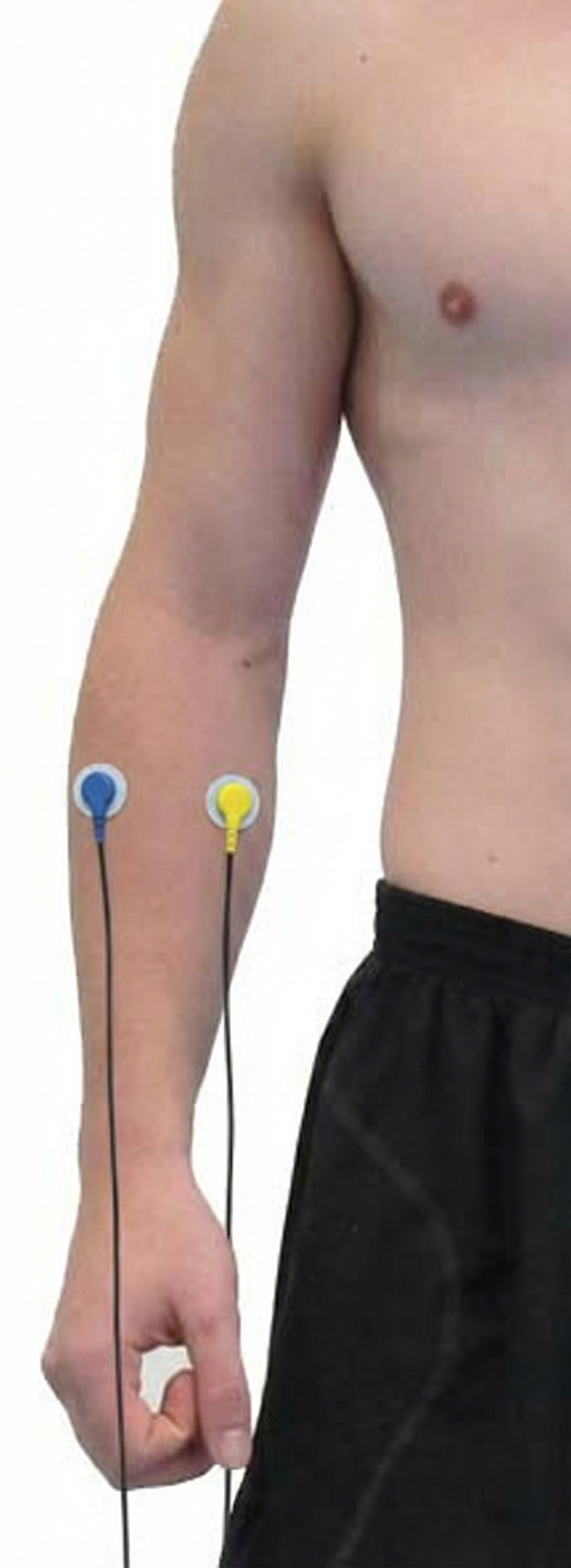 Flexor extensor placement